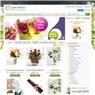  çiçekçi web tasarım